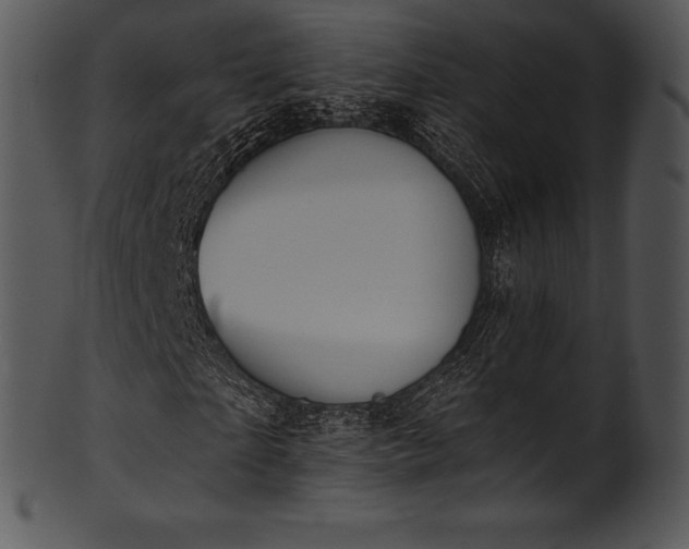 X0000101460865200807141304
