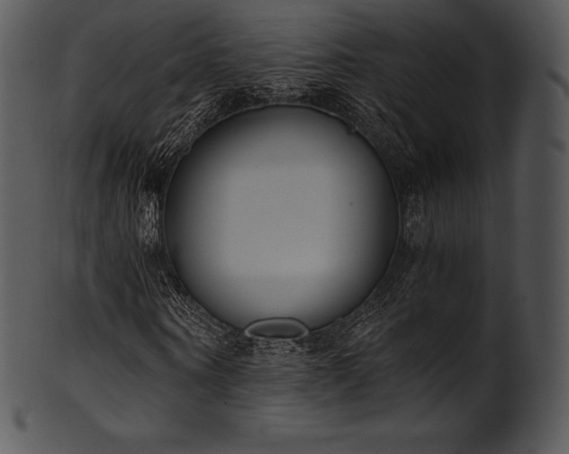 X0000101460866200807141304
