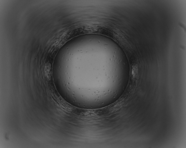 X0000101460867200807141304