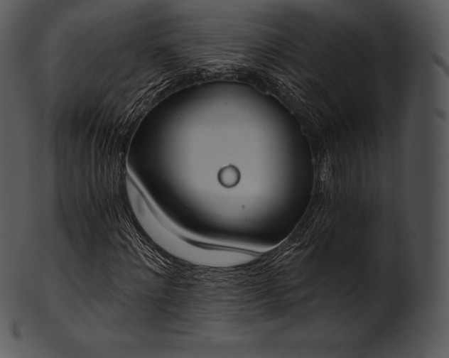 X0000101460868200807141304