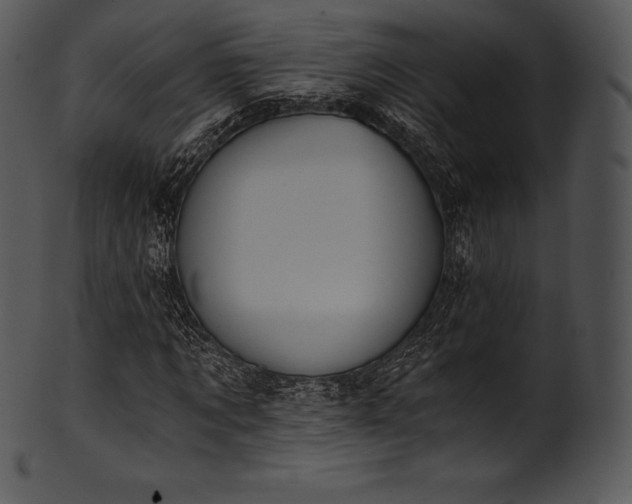 X0000101460869200807141304