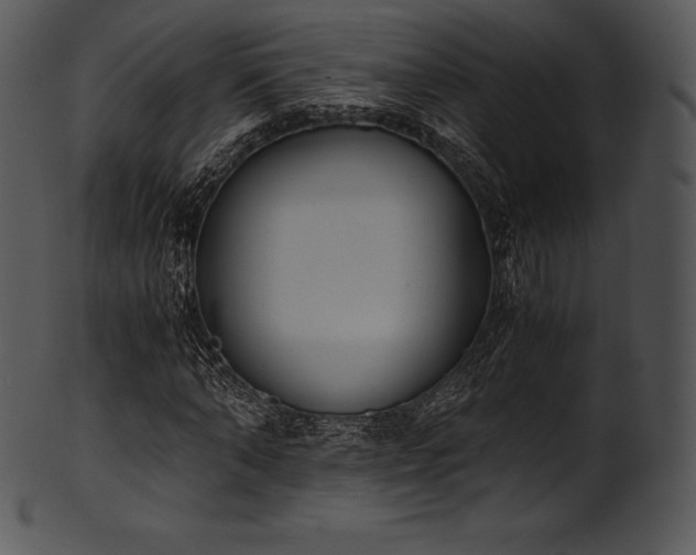 X0000101460870200807141304