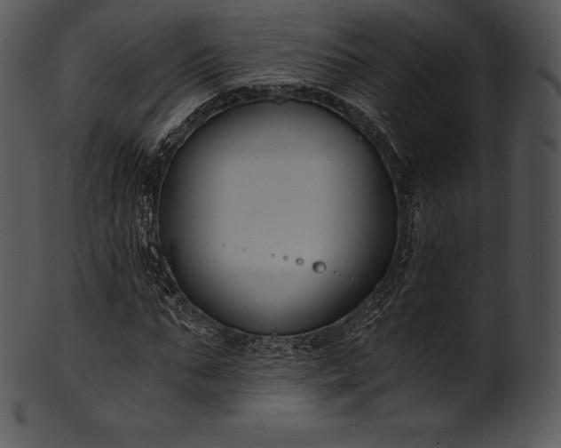 X0000101460871200807141304