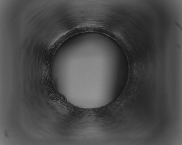 X0000101460872200807141304