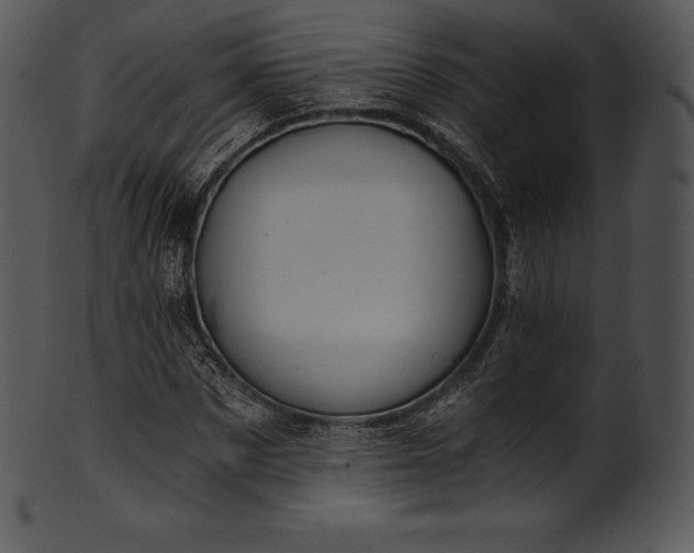 X0000101460873200807141304