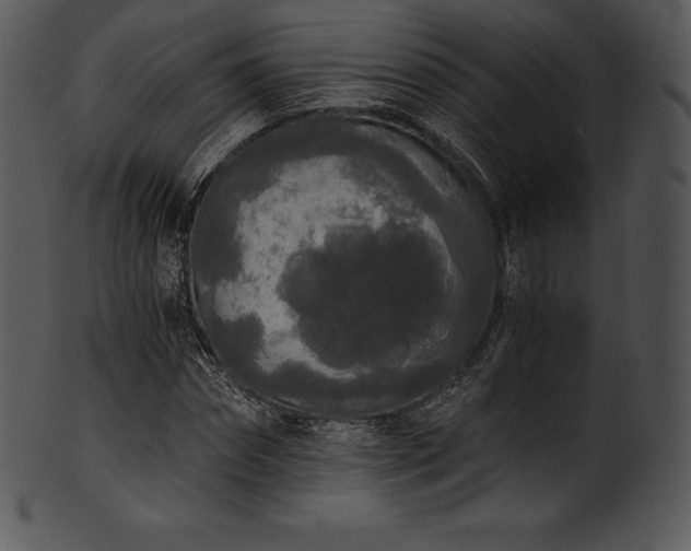 X0000101460874200807141304