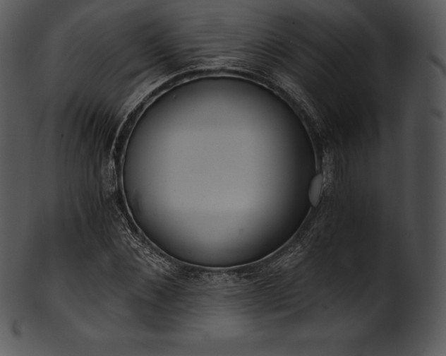 X0000101460876200807141304