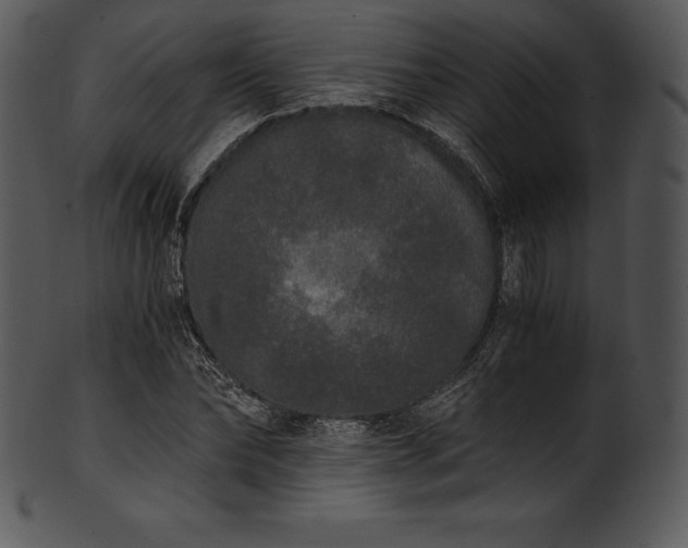 X0000101460878200807141304