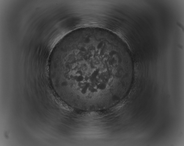 X0000101460879200807141304