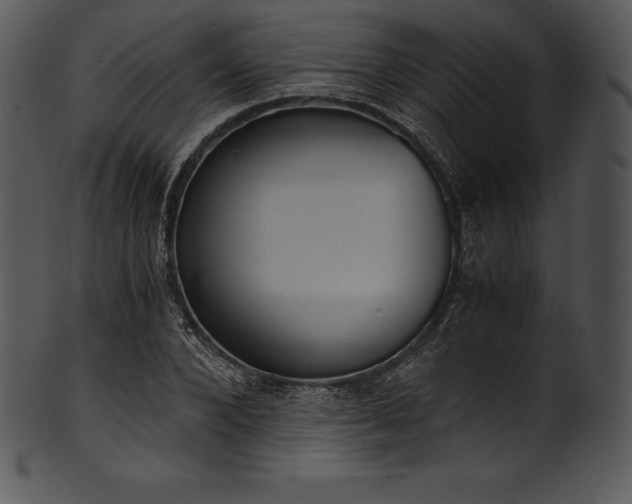 X0000101460880200807141304