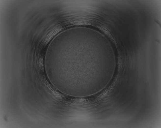 X0000101460881200807141304