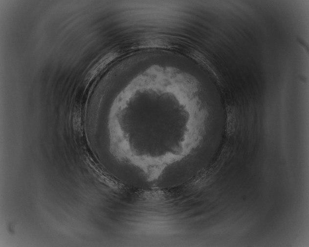 X0000101460882200807141304