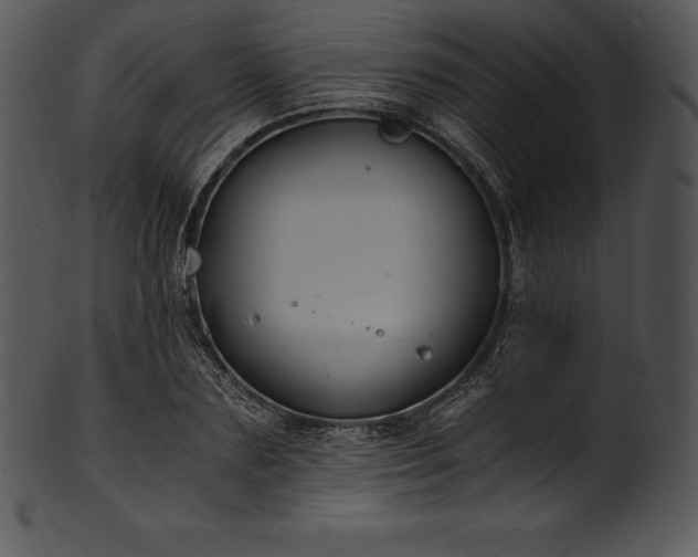 X0000101460883200807141304