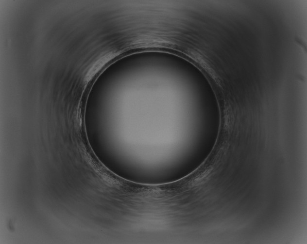 X0000101460885200807141304
