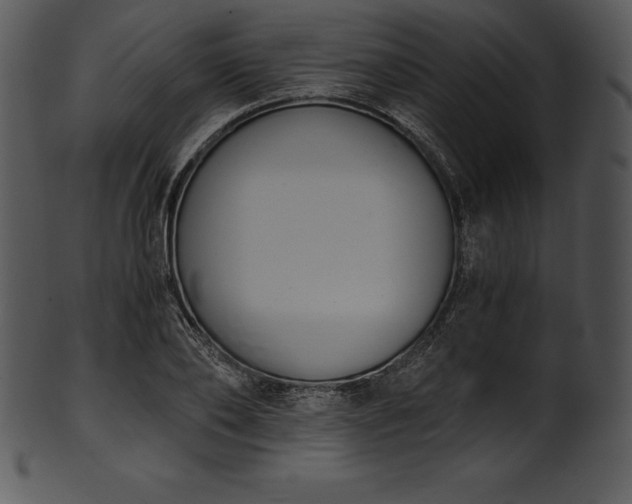 X0000101460886200807141304