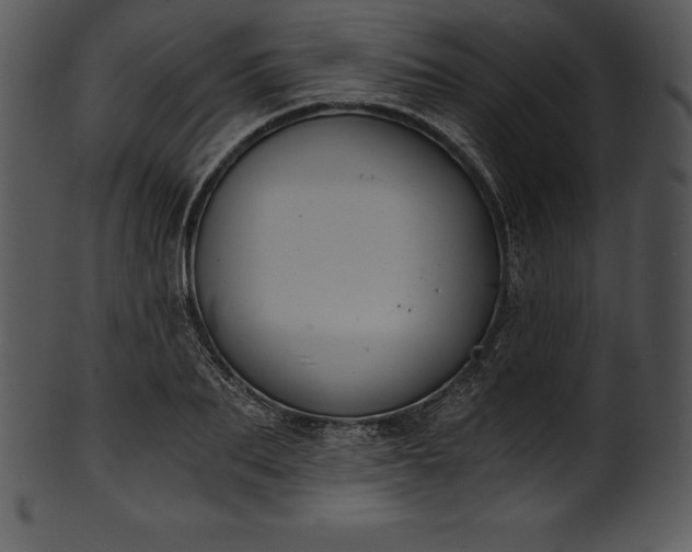 X0000101460887200807141304
