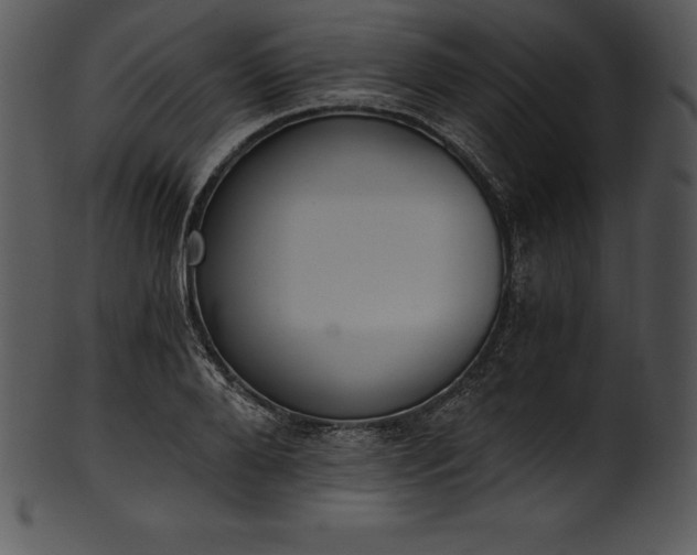 X0000101460888200807141304