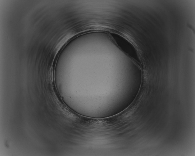X0000101460891200807141304