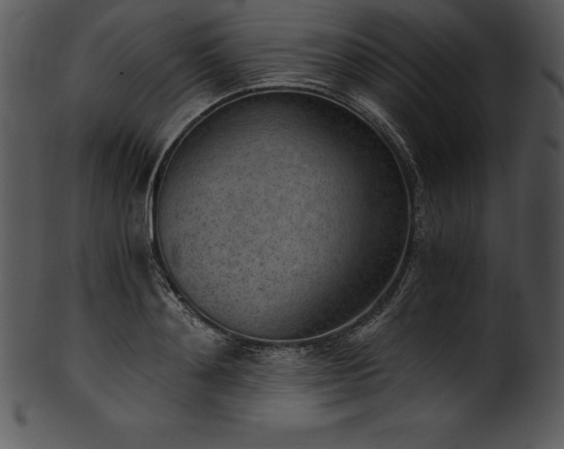 X0000101460892200807141304