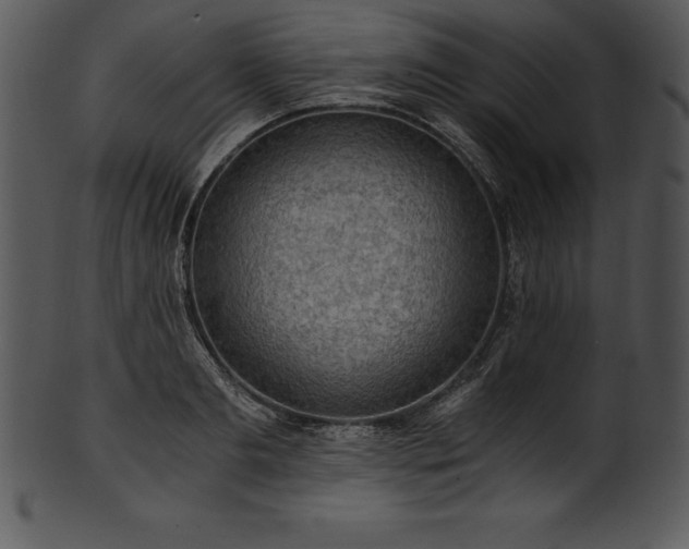 X0000101460893200807141304