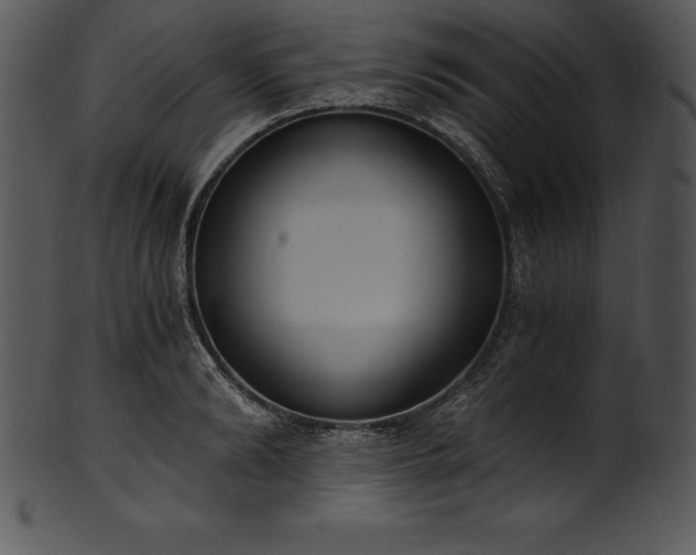X0000101460894200807141304