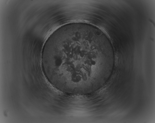 X0000101460895200807141304
