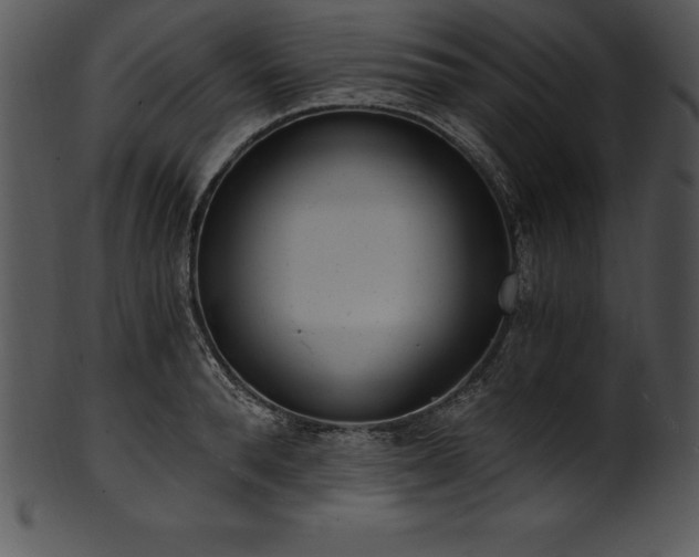 X0000101460896200807141304