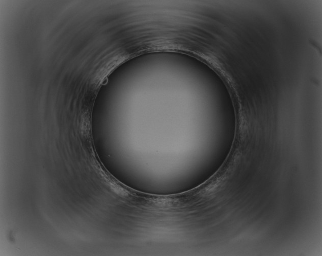 X0000101460897200807141304