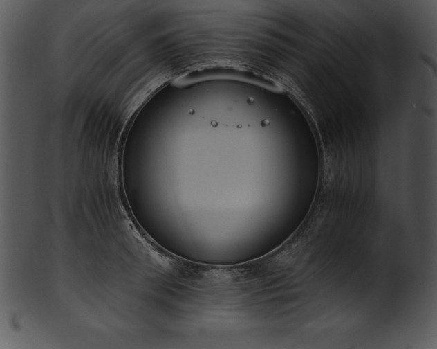 X0000101460898200807141304
