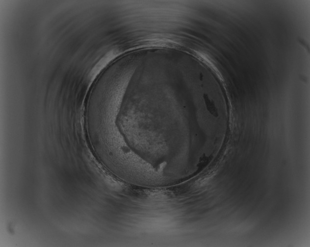 X0000101460899200807141304