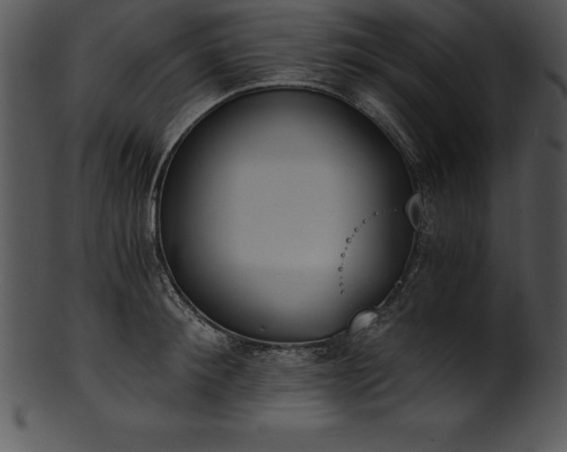 X0000101460900200807141304