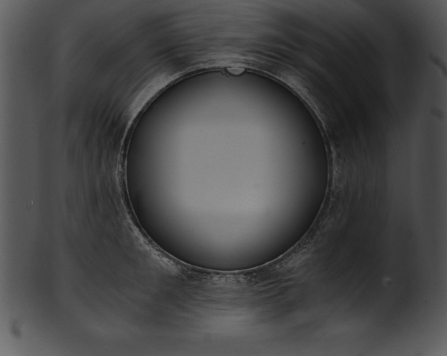 X0000101460901200807141304