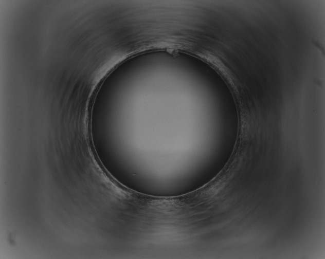 X0000101460902200807141304
