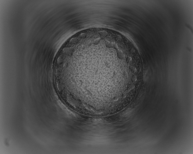 X0000101460903200807141304