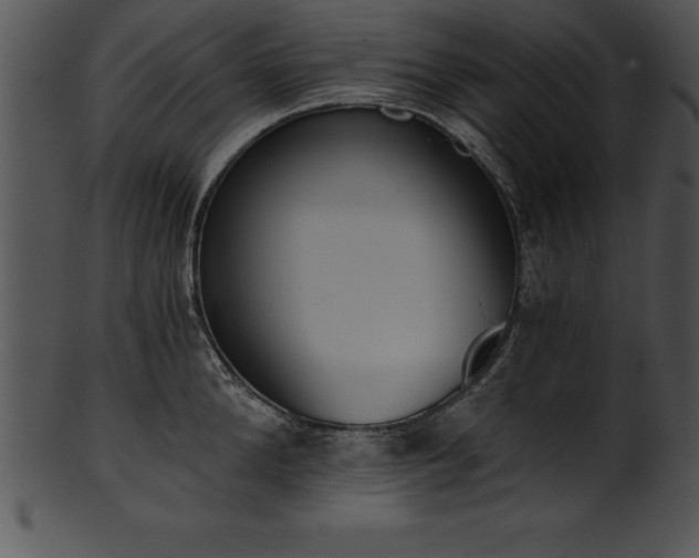 X0000101460904200807141304