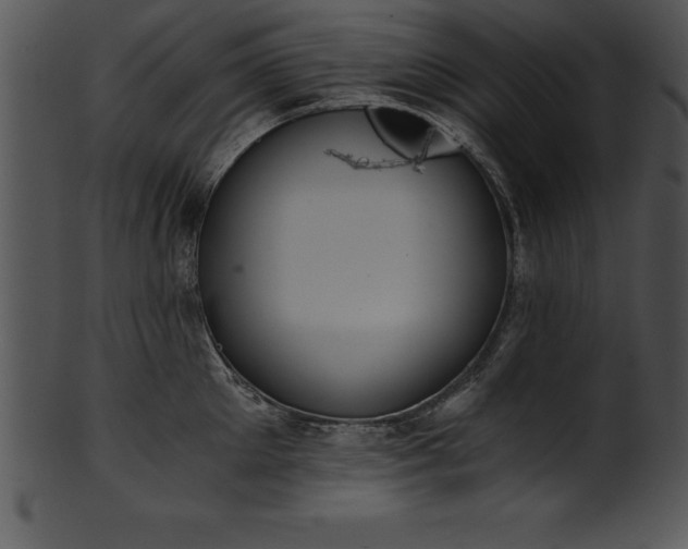 X0000101460905200807141304