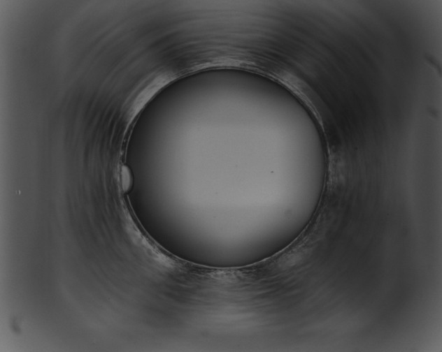 X0000101460906200807141304