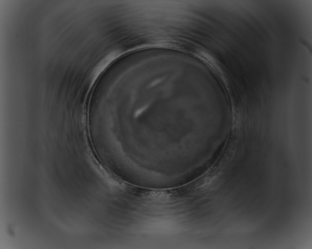 X0000101460907200807141304