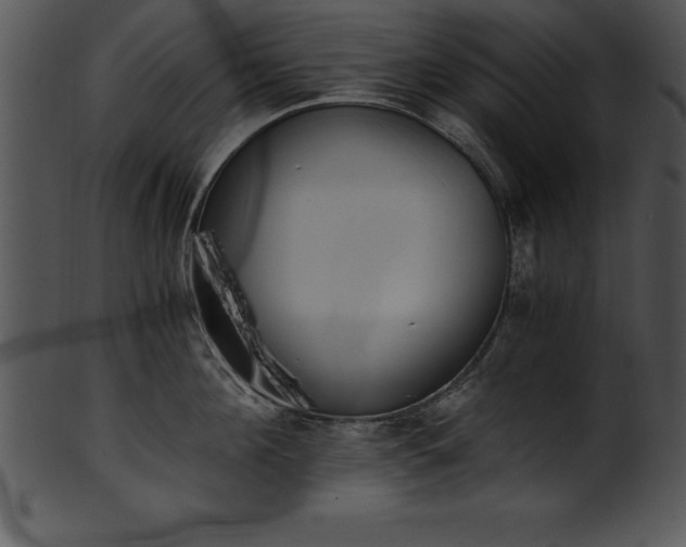 X0000101460908200807141304