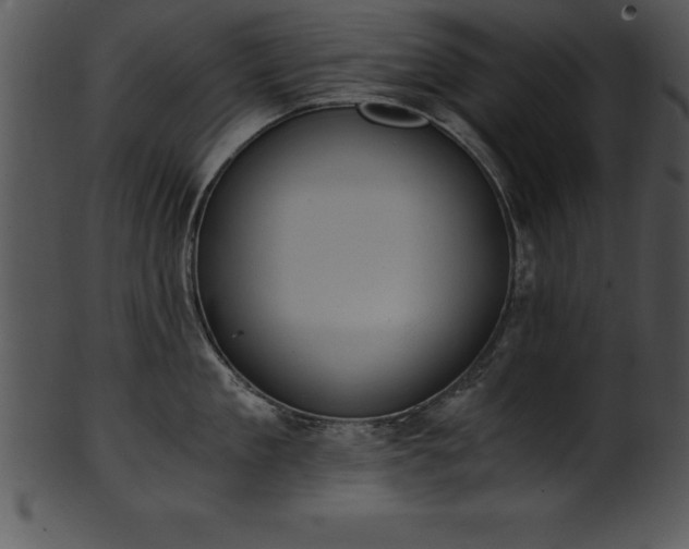 X0000101460909200807141304