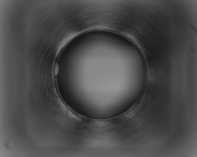 X0000101460910200807141304