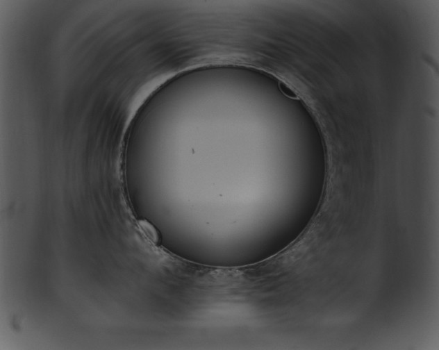 X0000101460912200807141304