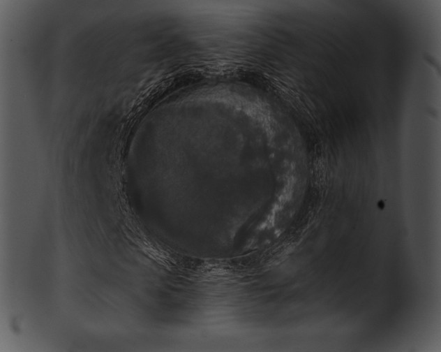 X0000101460913200807141303