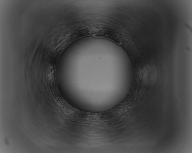 X0000101460914200807141303