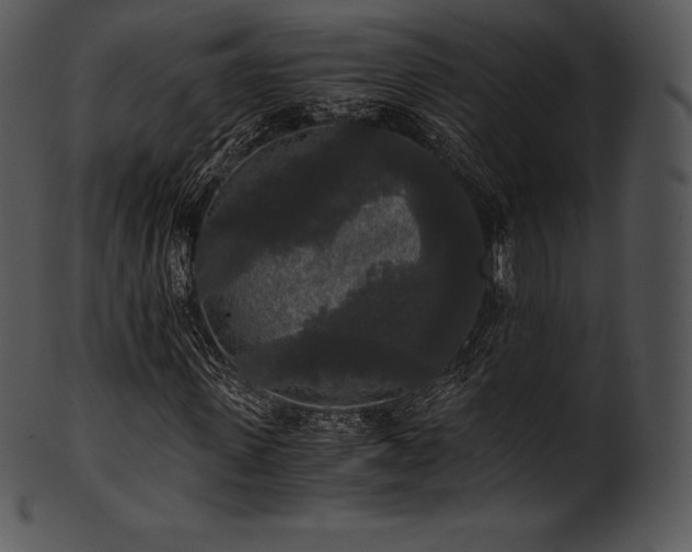 X0000101460915200807141303