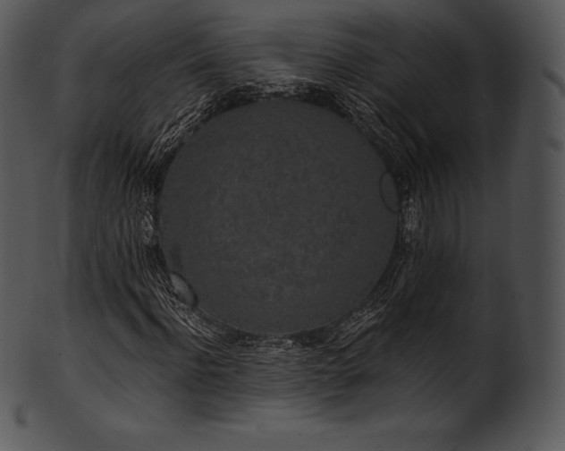 X0000101460916200807141303