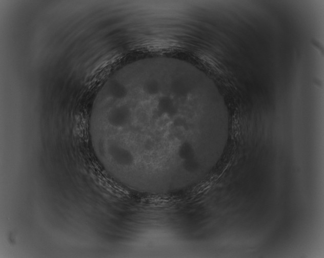 X0000101460917200807141303