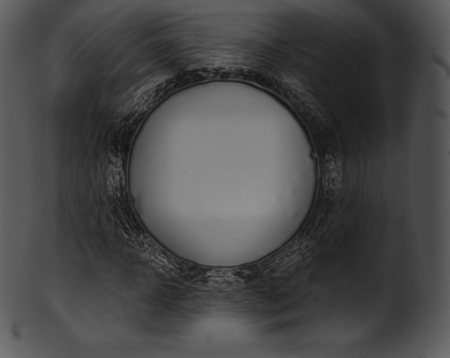 X0000101460918200807141303