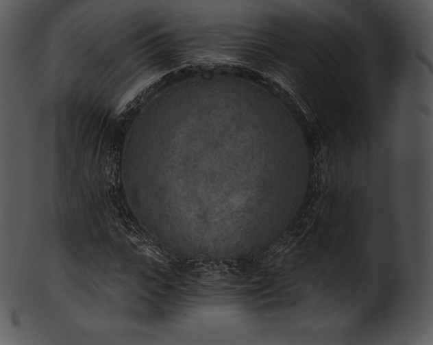 X0000101460919200807141303