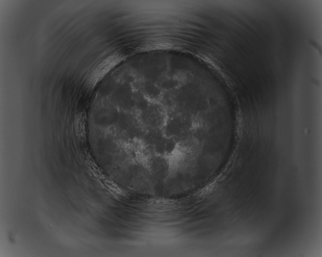 X0000101460921200807141303